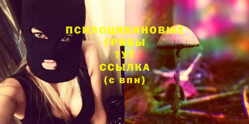 Галлюциногенные грибы Cubensis  hydra как войти  Жуковский 